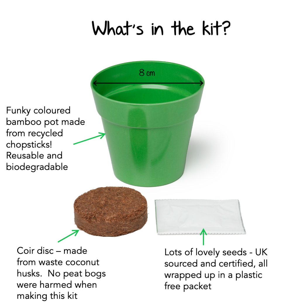 Children's Growing Kits Late Spring/Summer Selection (Mixed Case)