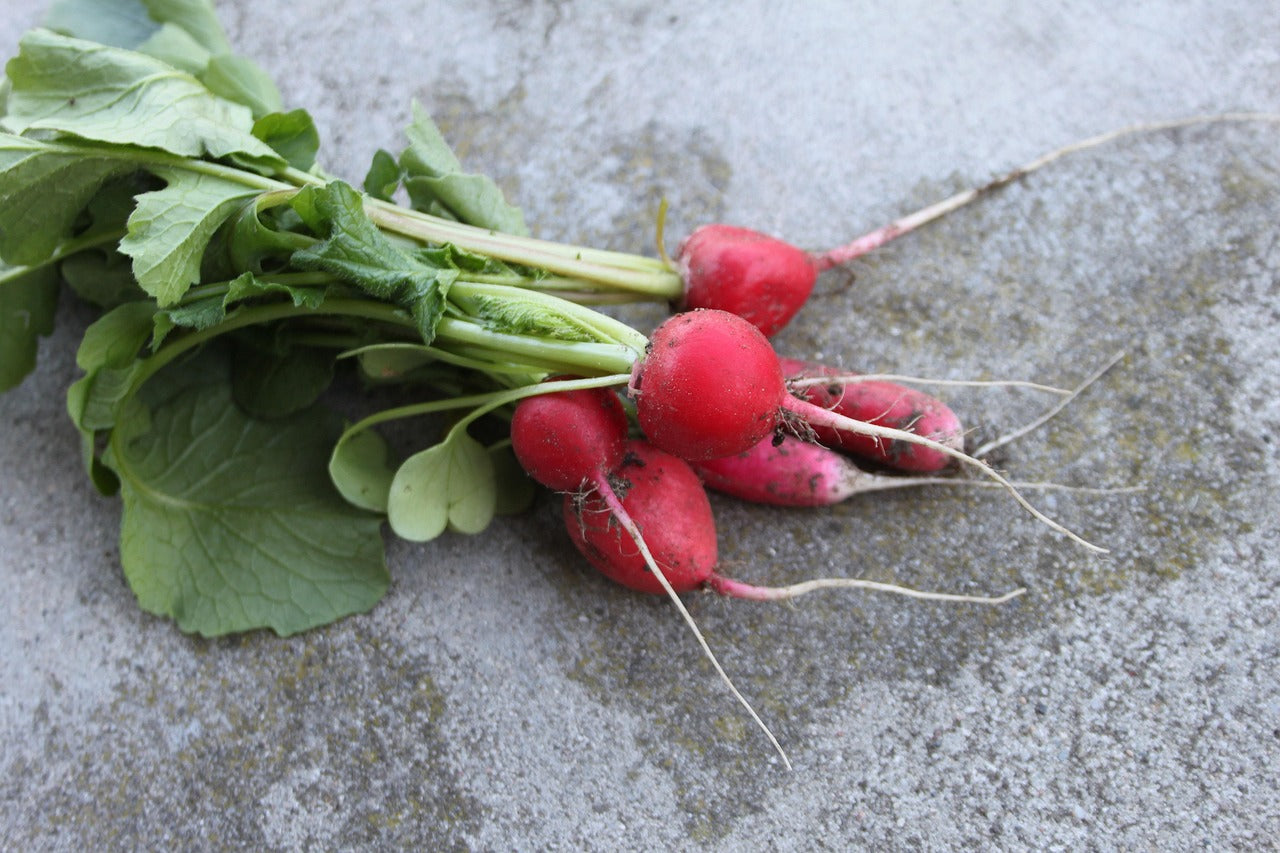 Grow Your Own Salad Garden Gift Box