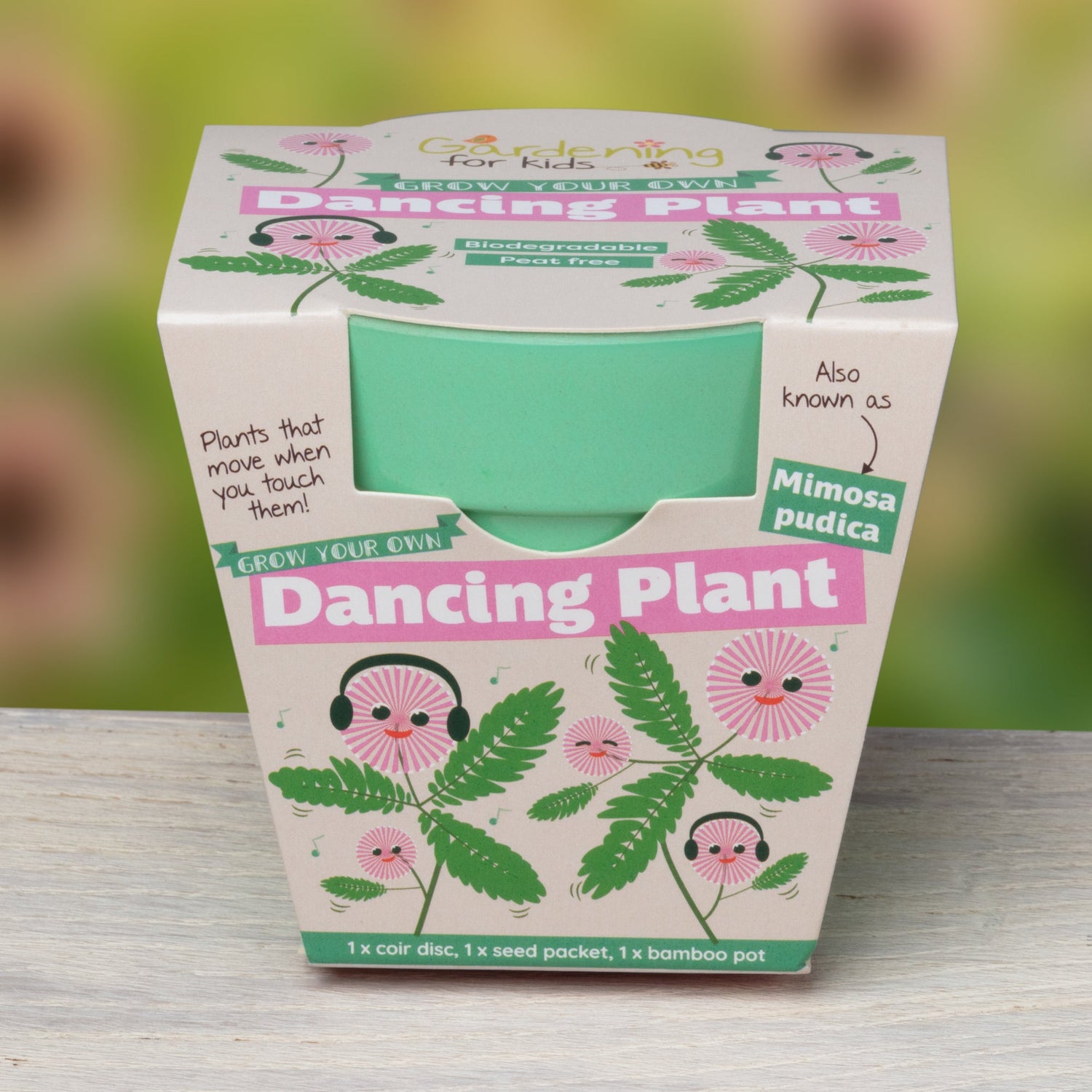 Grow Something Different! Quirky and Unusual Plants