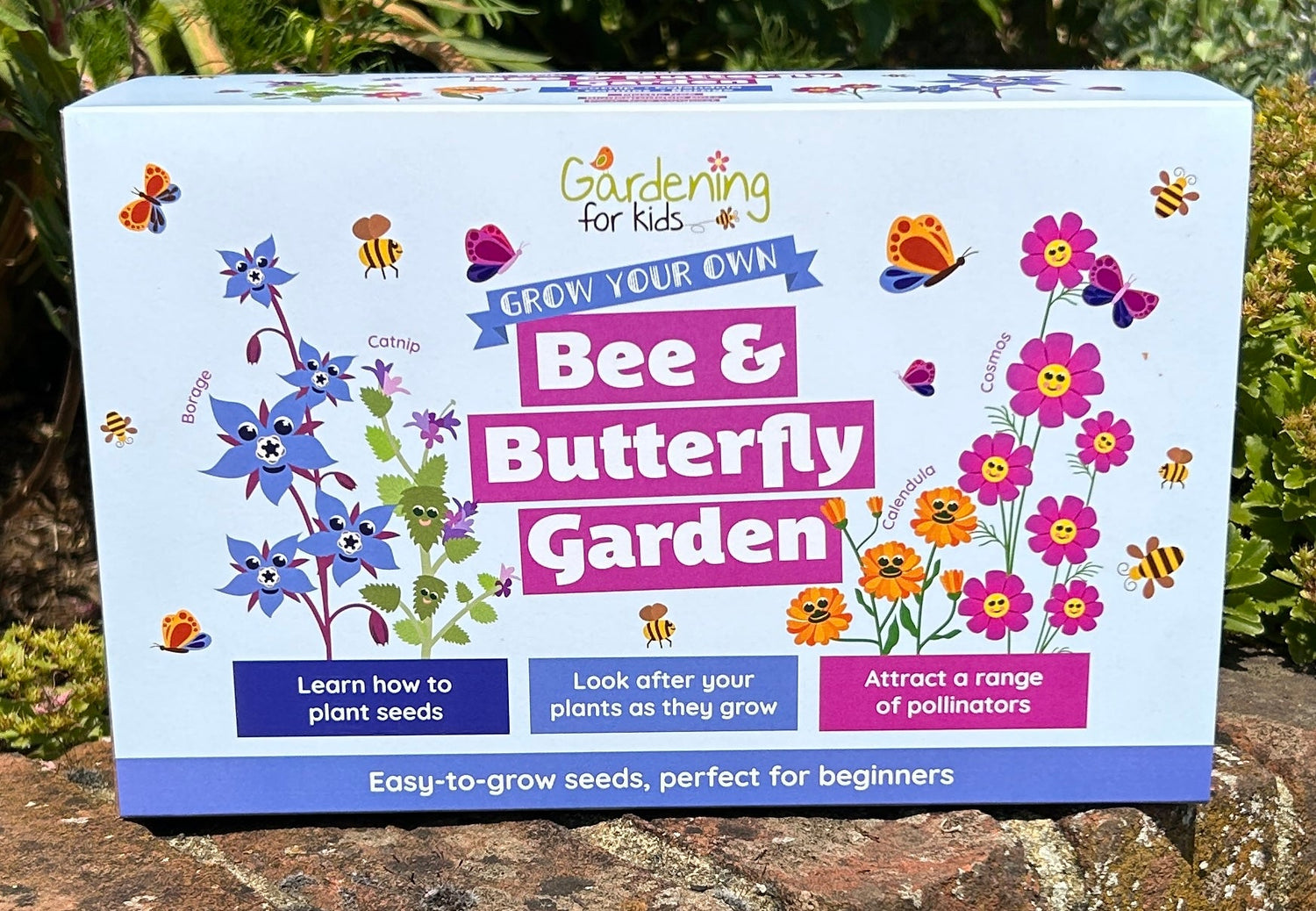 Garden in a Box Gift Boxes