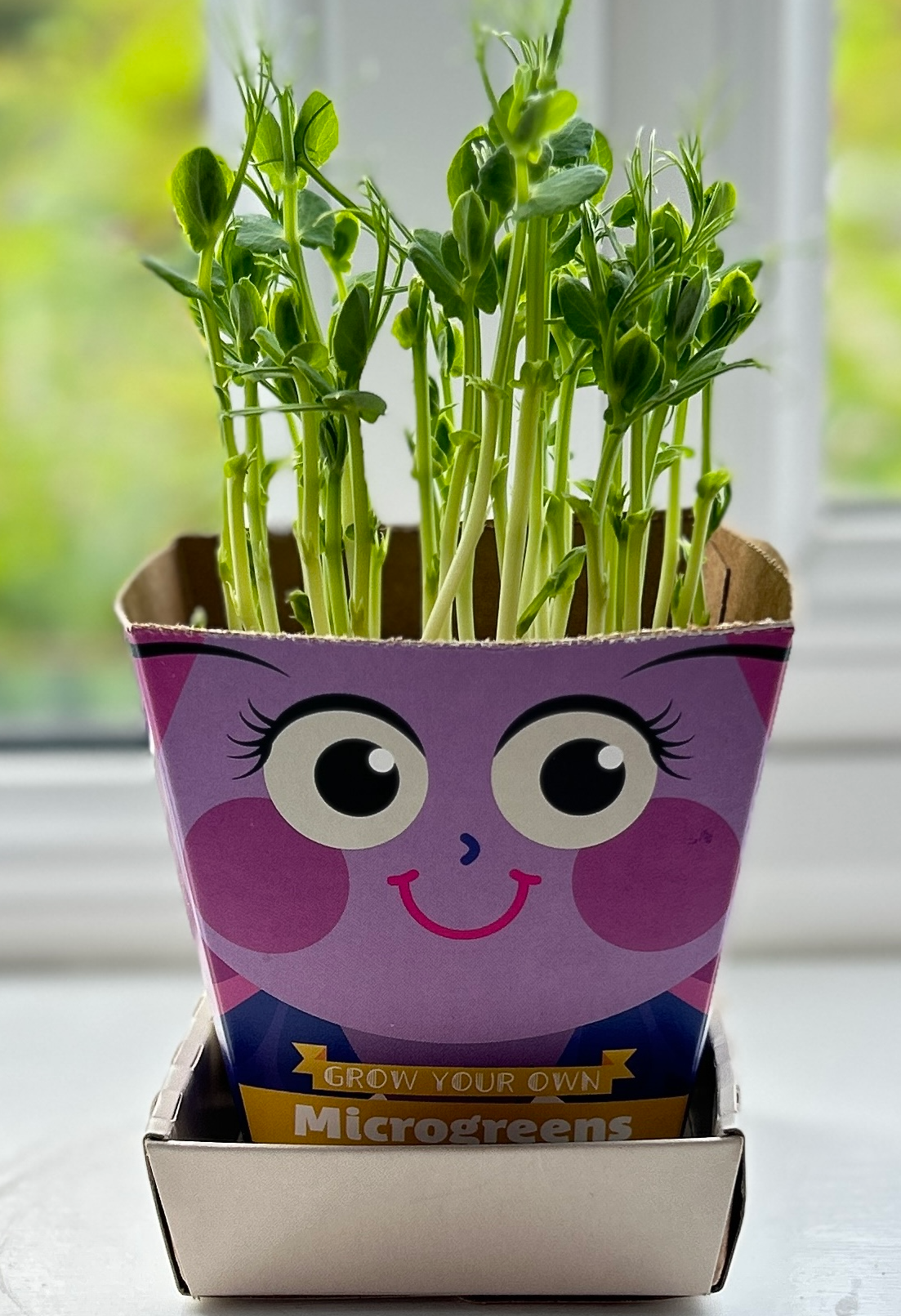 Mighty Microgreens