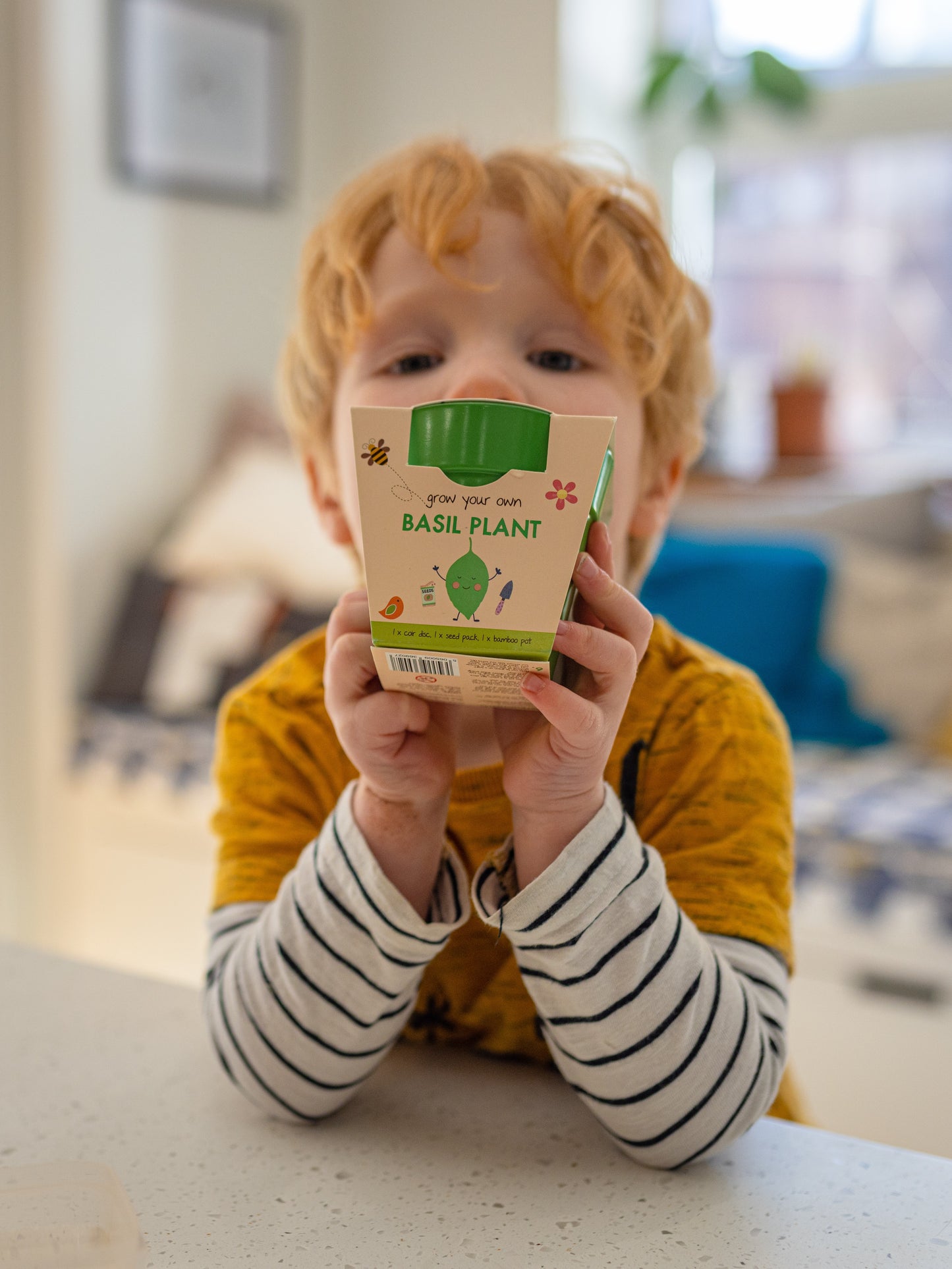 Children's Grow Your Own Basil Kit