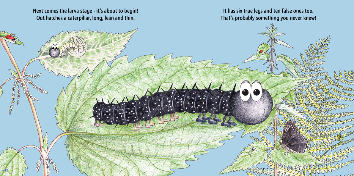 Books Mixed Case - Emma Lawrence