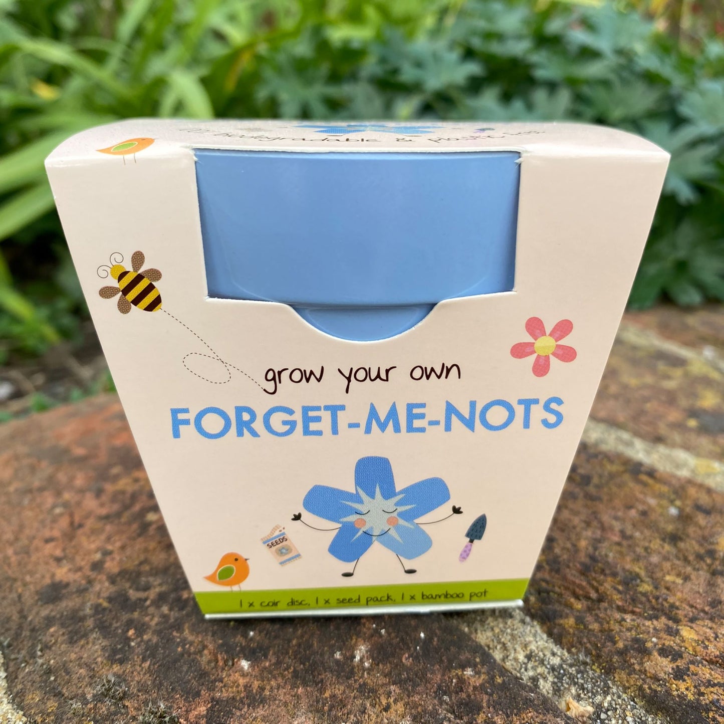 Grow Your Own Forget-Me-Nots Growing Kit