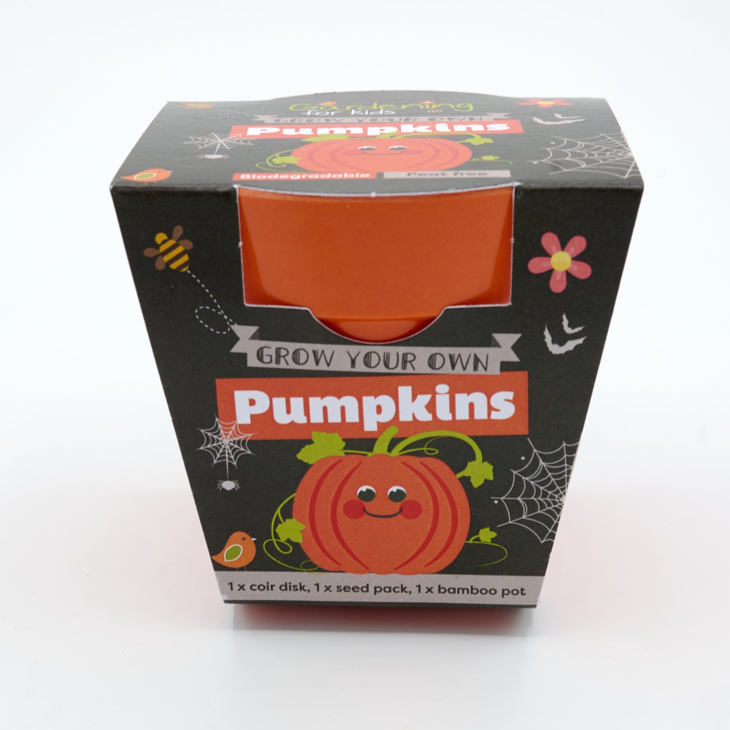 Children's Grow Your Own Pumpkins Growing Kit