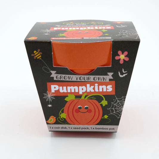 Children's Grow Your Own Pumpkins Growing Kit