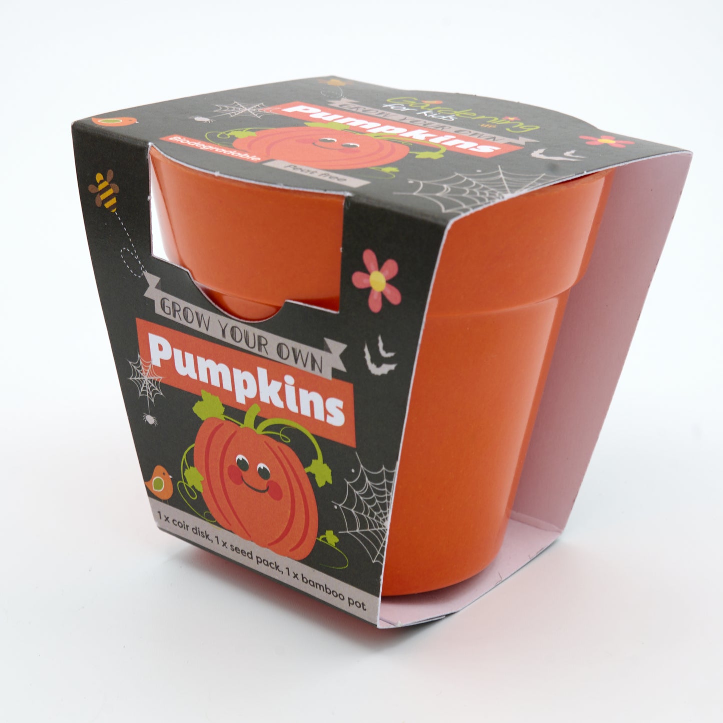 Children's Grow Your Own Pumpkins Growing Kit