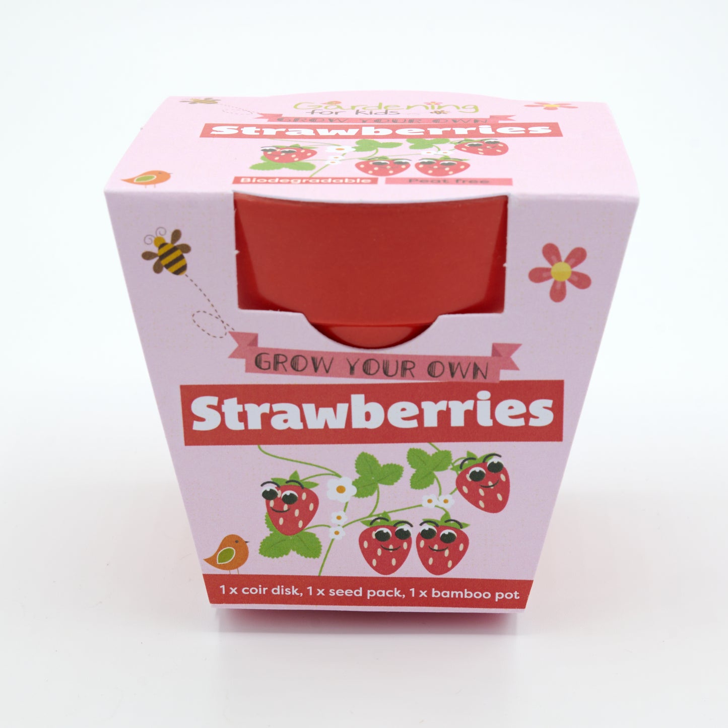 Children's Growing Kits Autumn Selection (Mixed Case)