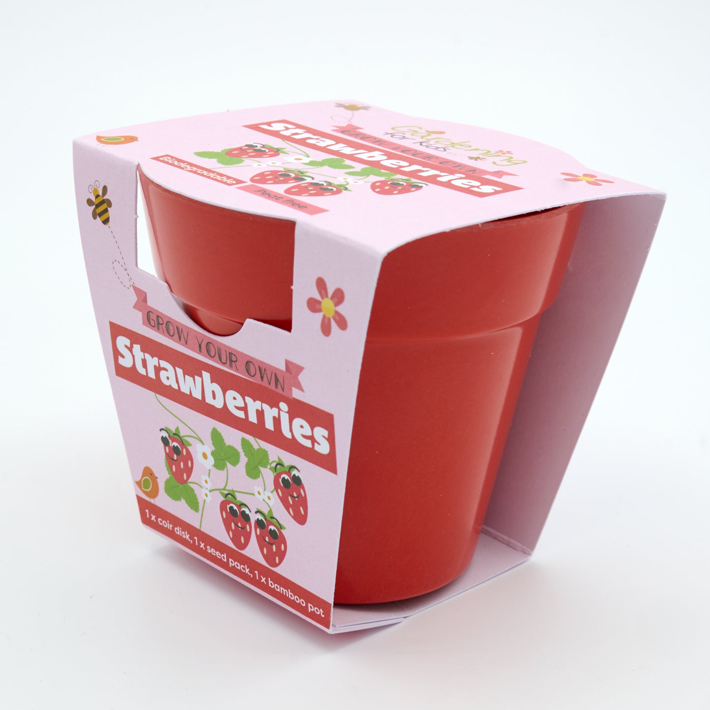 Children's Grow Your Own Strawberries Growing Kit