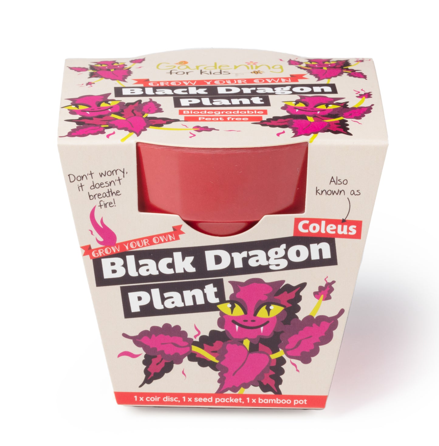 Children's Grow Your Own Black Dragon Plant Growing Kit