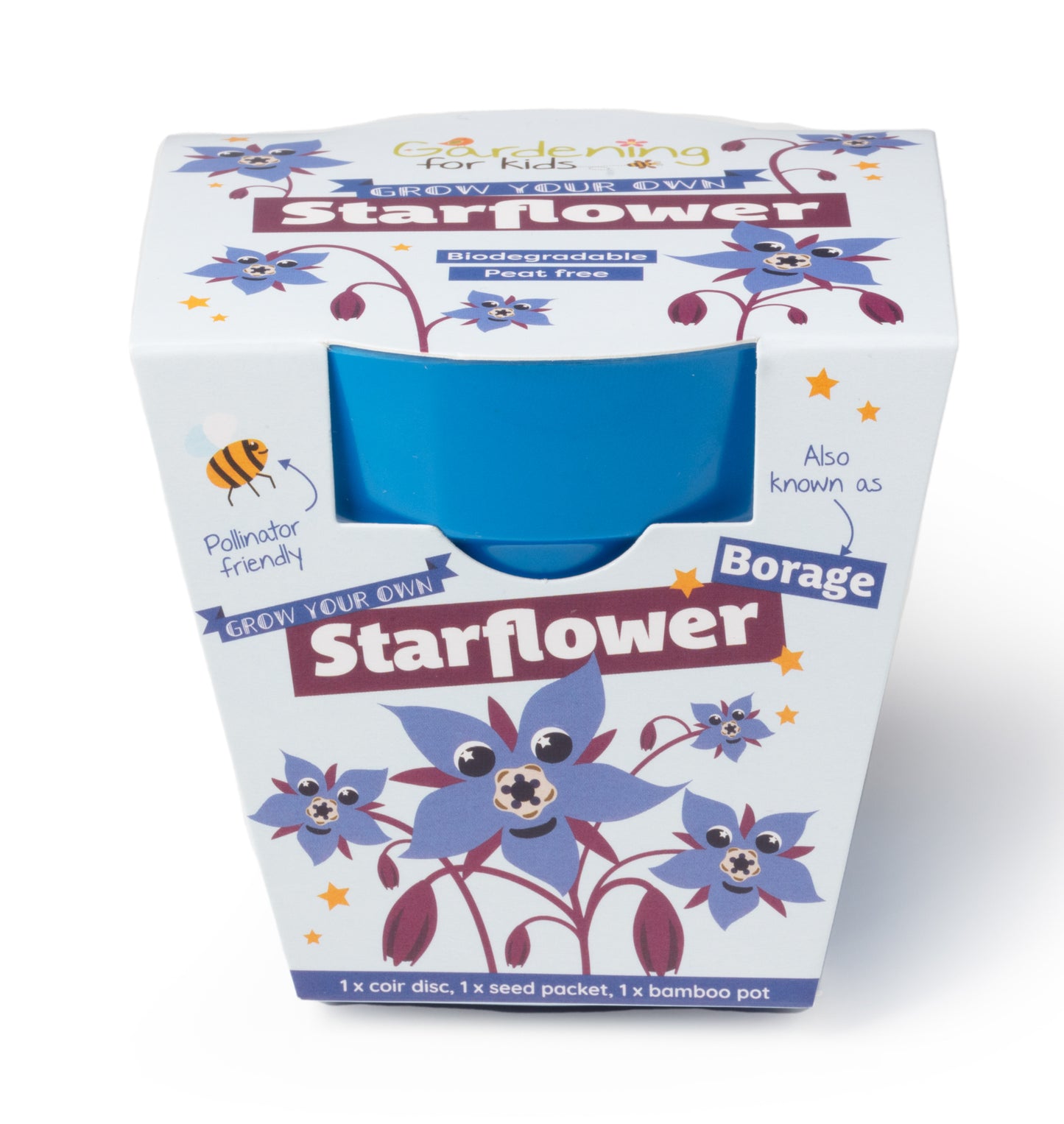 Children's Grow Your Own Starflower Growing Kit