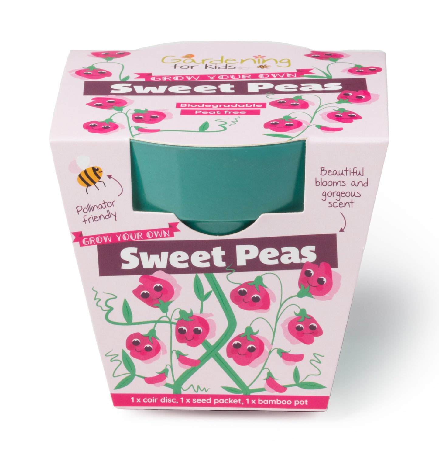 Children's Grow Your Own Sweet Pea Growing Kit
