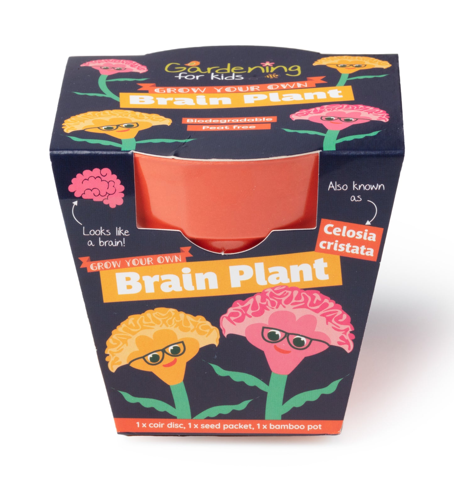 Children's Grow Your Own Brain Plant Growing Kit