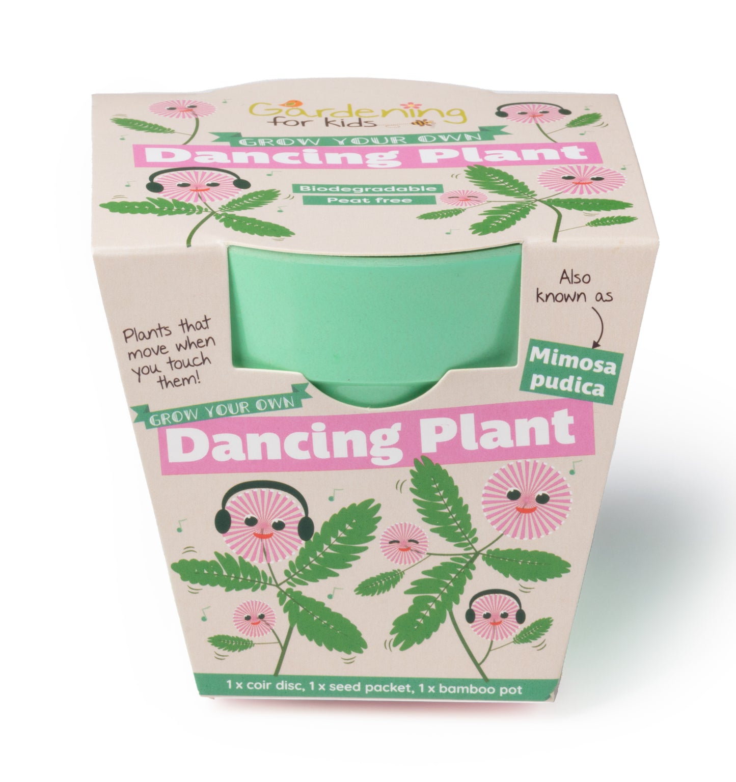 Children's Growing Kits Autumn Selection (Mixed Case of 48)
