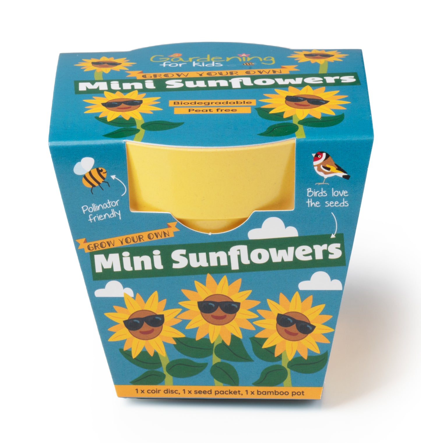 Children's Grow Your Own Mini Sunflowers Growing Kit