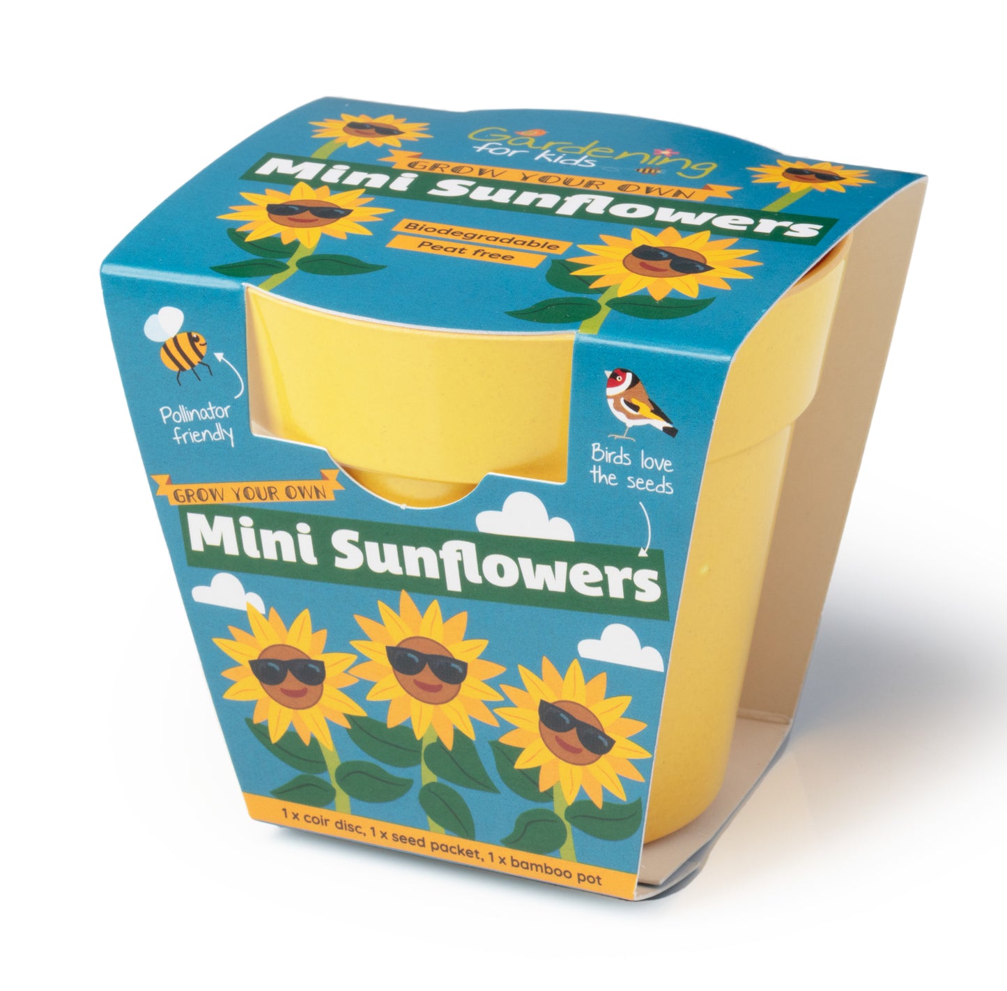 Children's Grow Your Own Mini Sunflowers Growing Kit