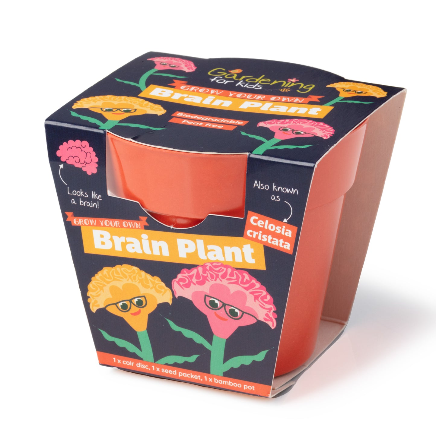 Children's Grow Your Own Brain Plant Growing Kit