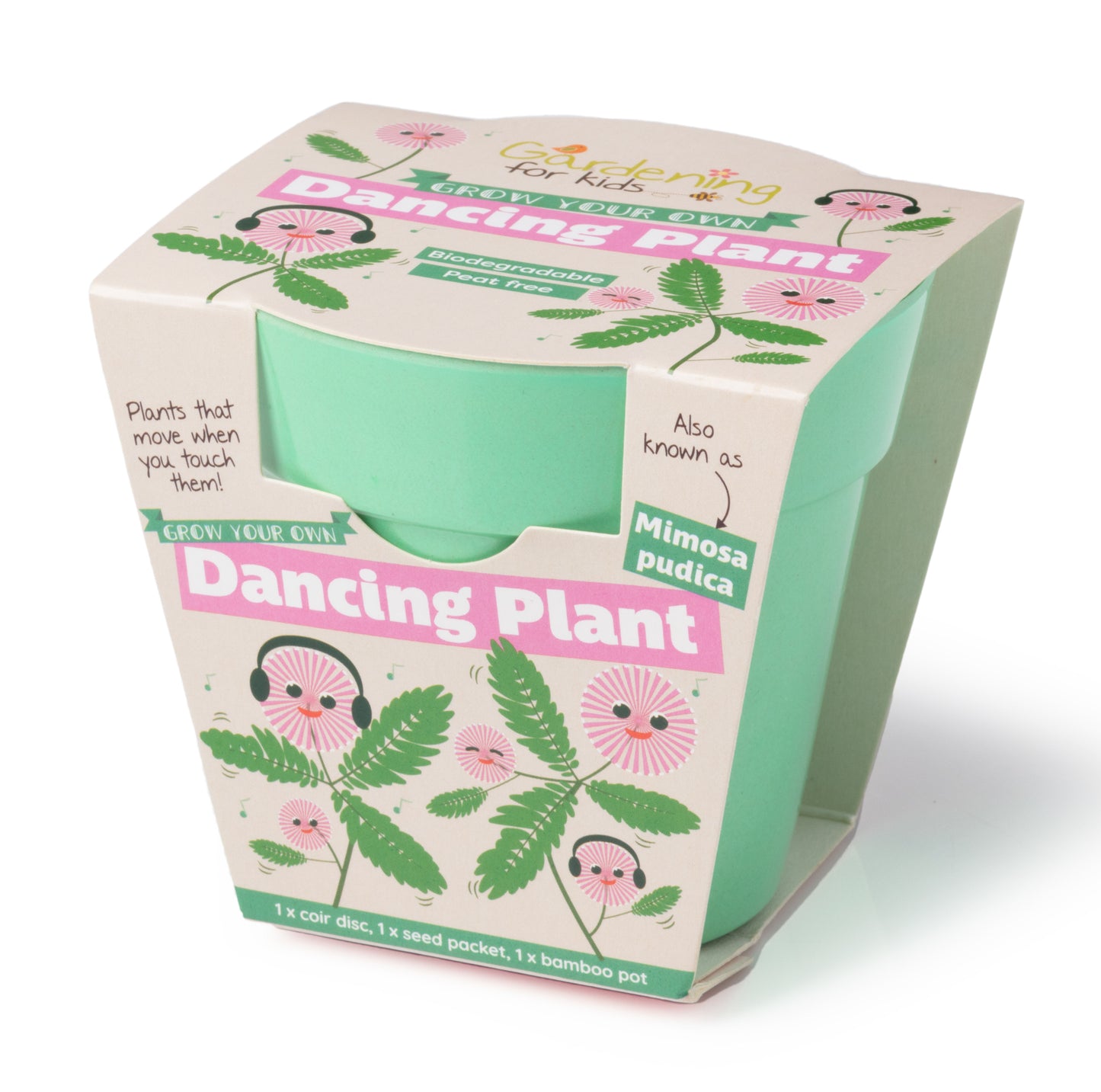 Children's Grow Your Own Dancing Plant Growing Kit