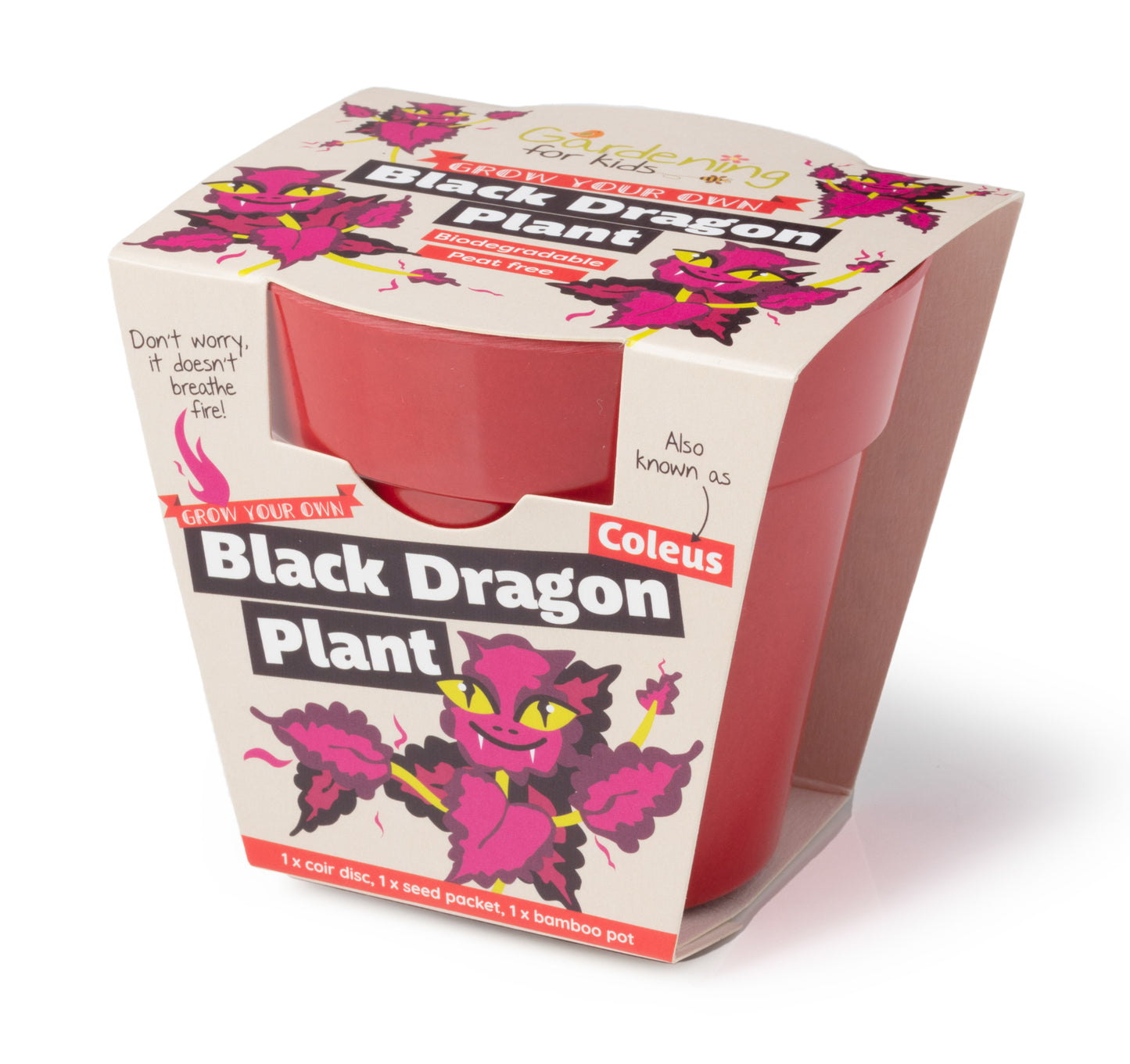 Children's Grow Your Own Black Dragon Plant Growing Kit