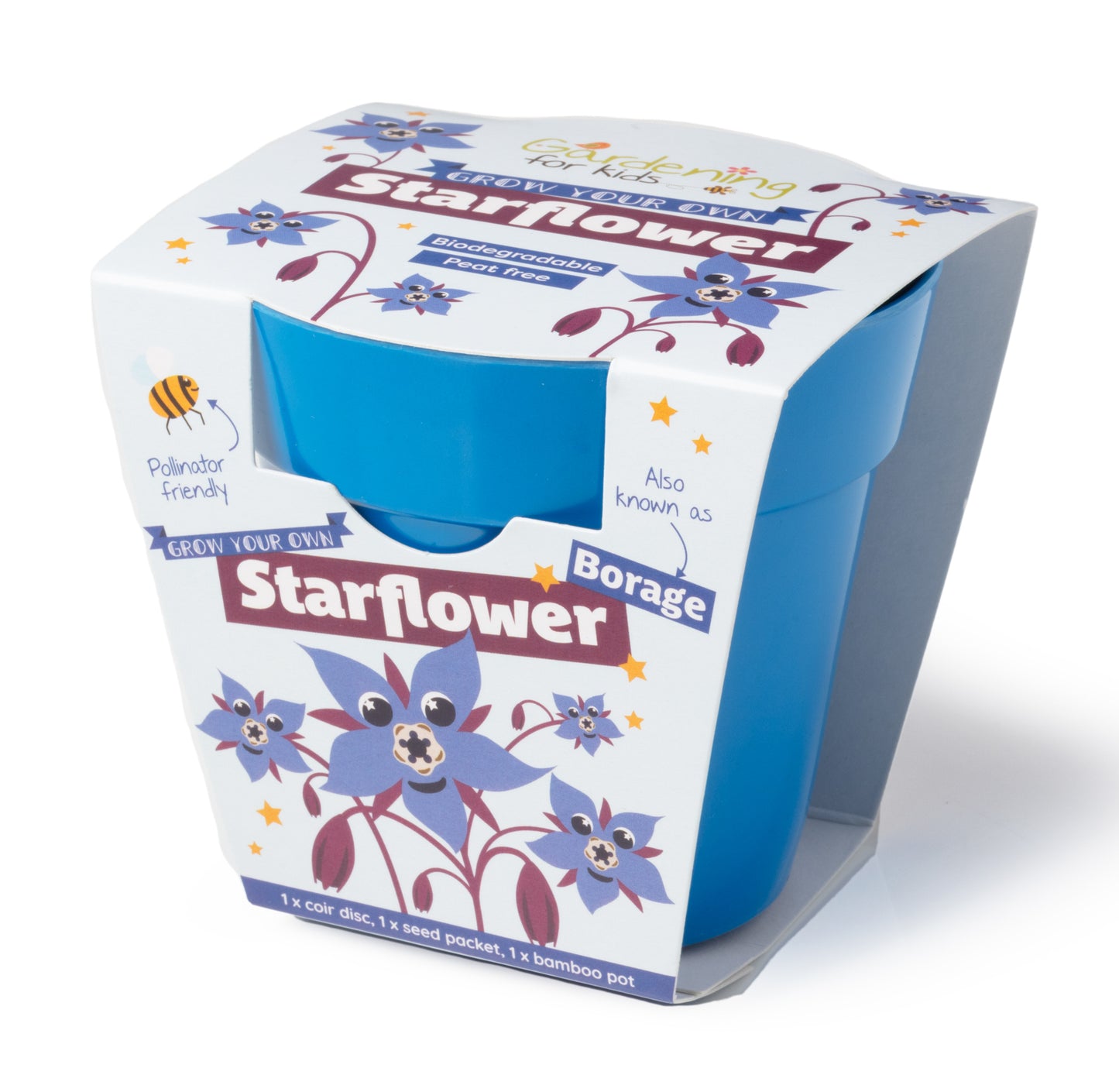 Children's Grow Your Own Starflower Growing Kit