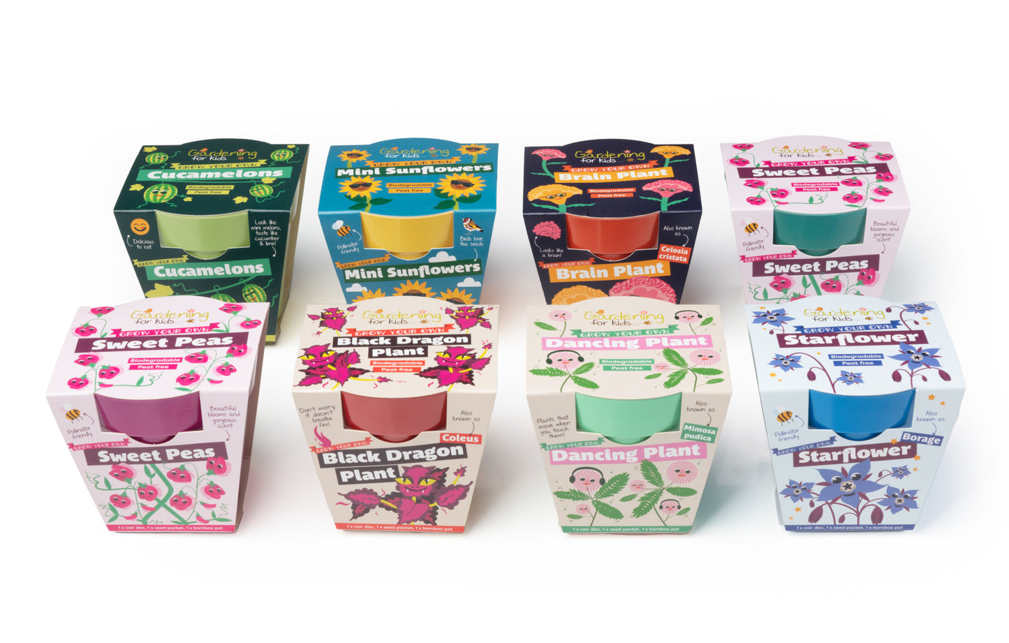 Children's Growing Kit Grow Something Different Starter Set (Mixed Case)