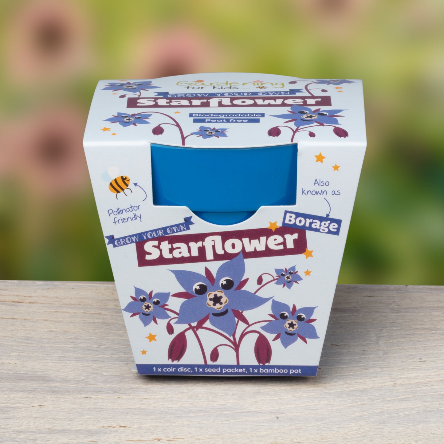 Children's Grow Your Own Starflower Growing Kit