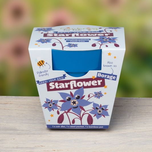 Children's Grow Your Own Starflower Growing Kit