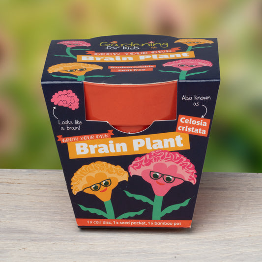 Children's Grow Your Own Brain Plant Growing Kit