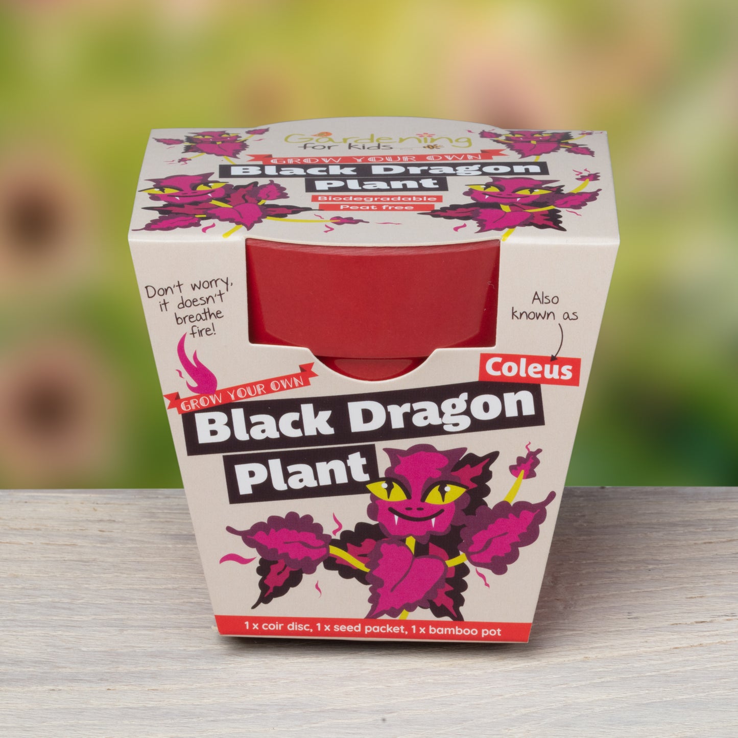 Children's Grow Your Own Black Dragon Plant Growing Kit