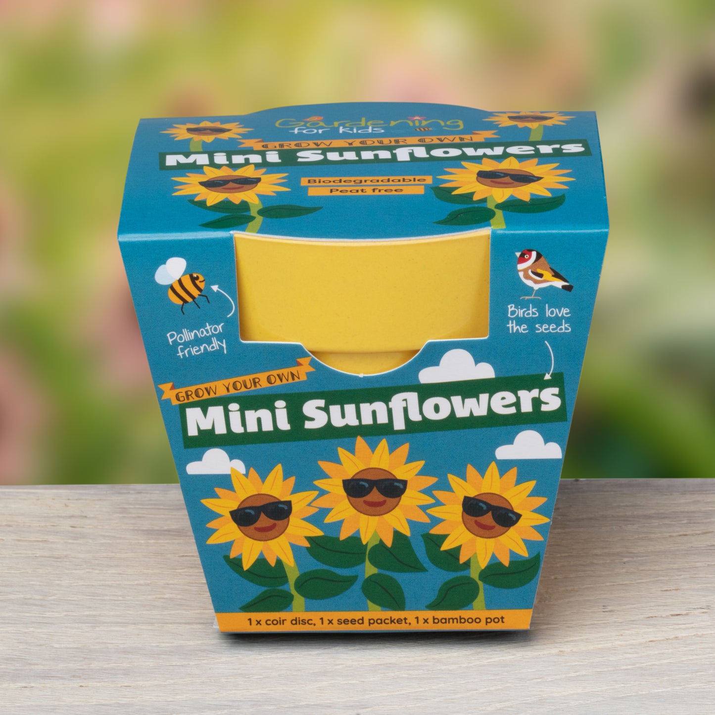 Children's Grow Your Own Mini Sunflowers Growing Kit