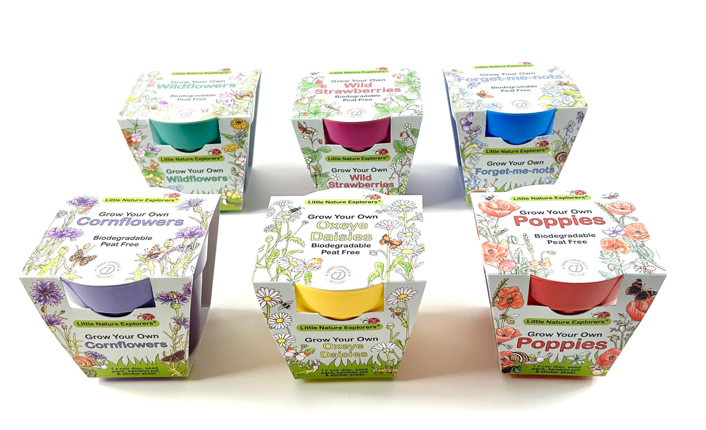 Children's Growing Kits Little Nature Explorers Starter Set (Mixed Case)