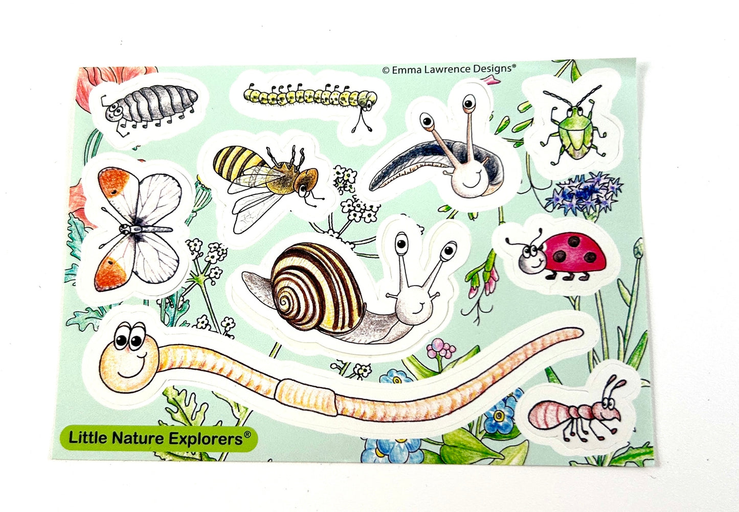 Children's Growing Kits Little Nature Explorers Starter Set (Mixed Case)