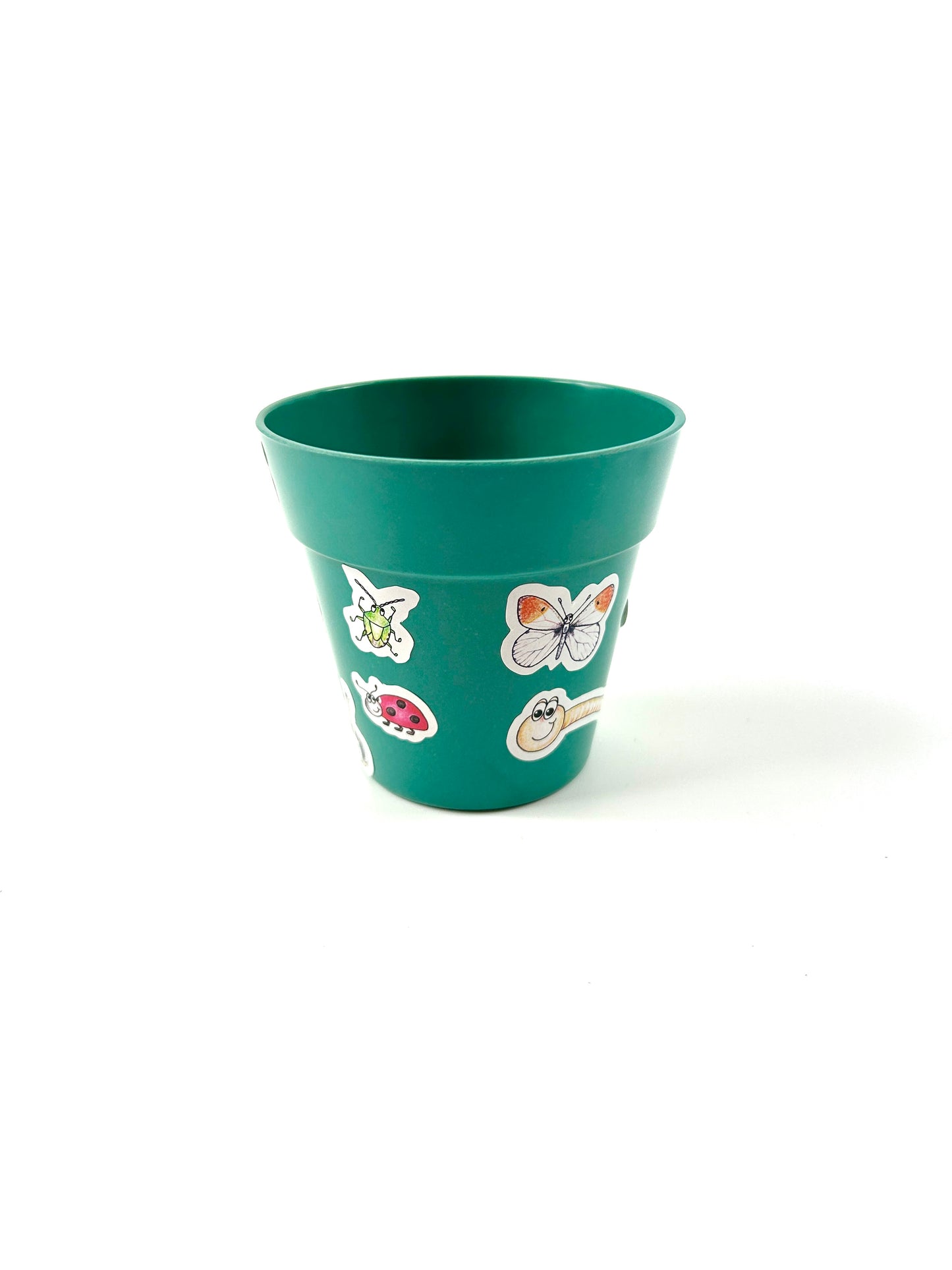 Little Nature Explorers Children's Forget Me Not Growing Kit