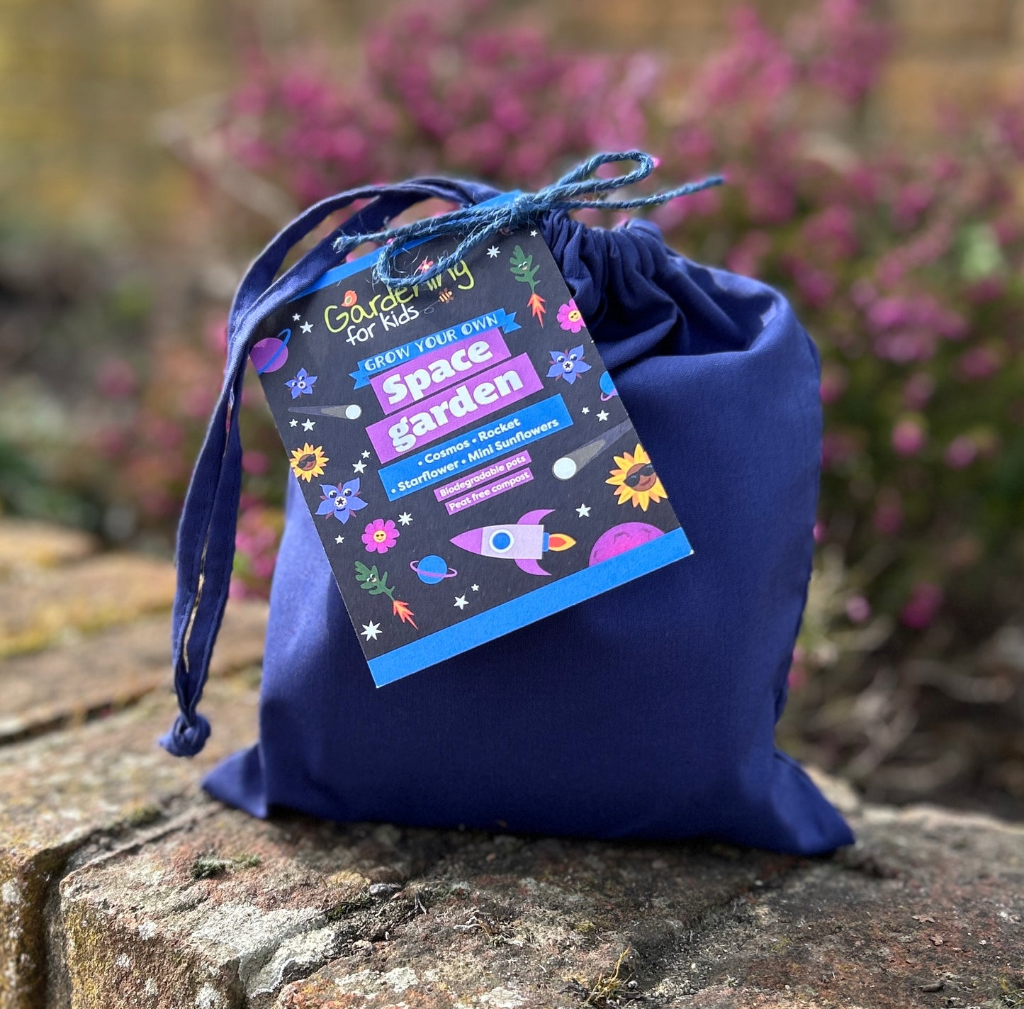 Grow Your Own Space Garden Gift Bag