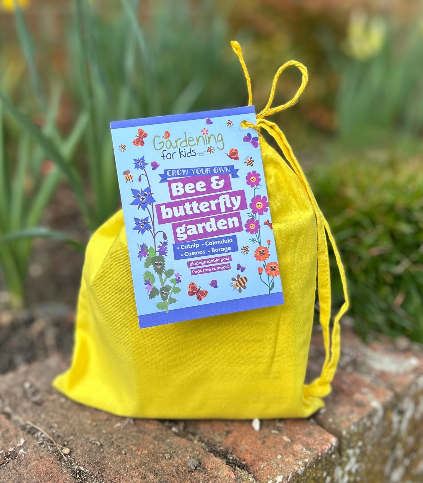 Grow Your Own Bee and Butterfly Garden Gift Bag
