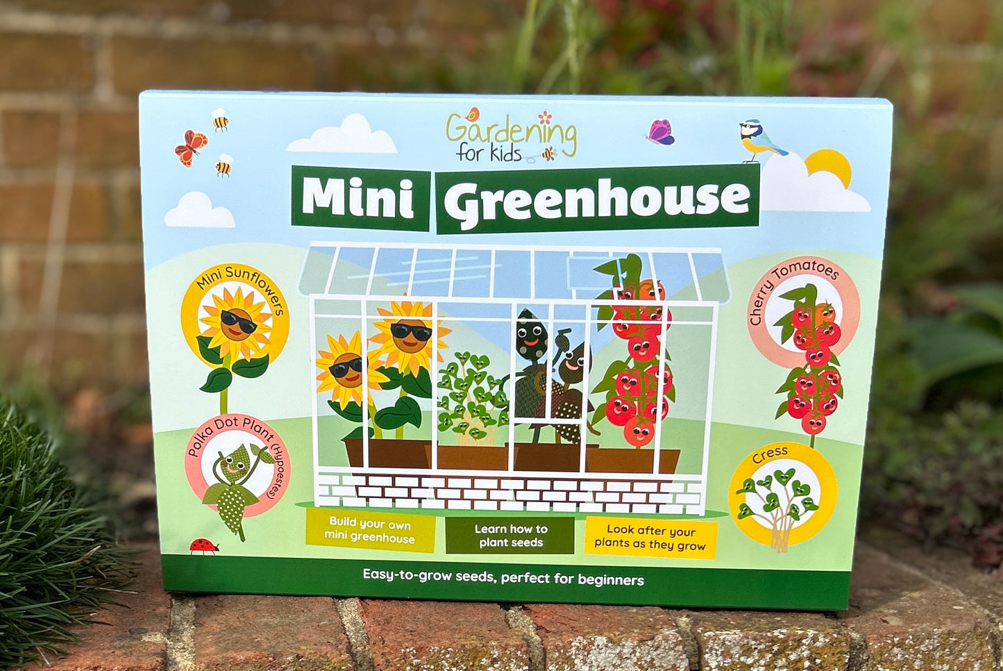 My First Mini Greenhouse