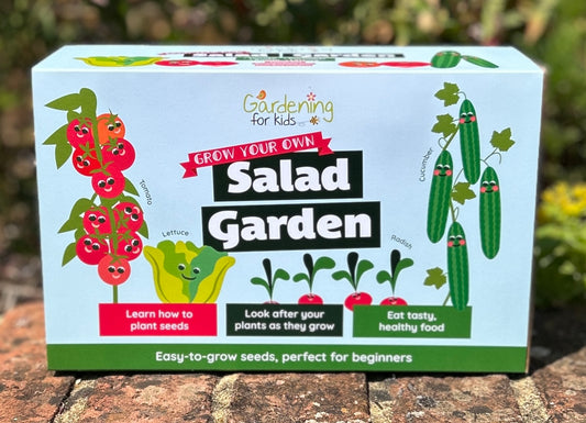 Grow Your Own Salad Garden Gift Box