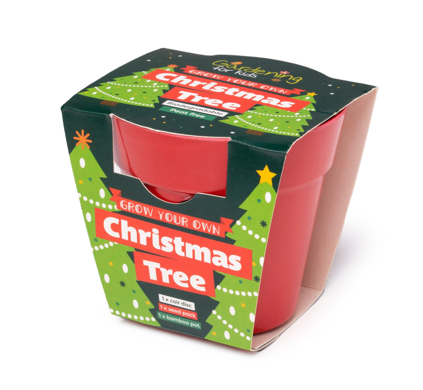 Children's Grow Your Own Christmas Tree Growing Kit