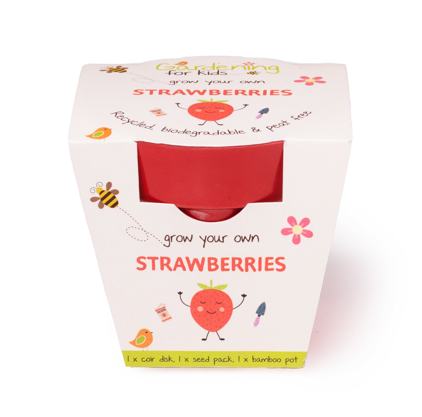 Children's Grow Your Own Strawberries Growing Kit