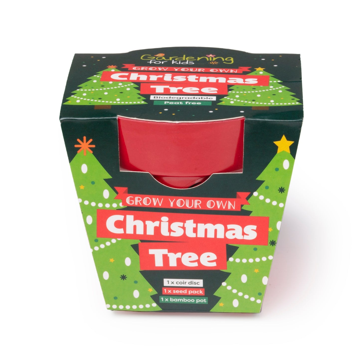 Children's Grow Your Own Christmas Tree Growing Kit
