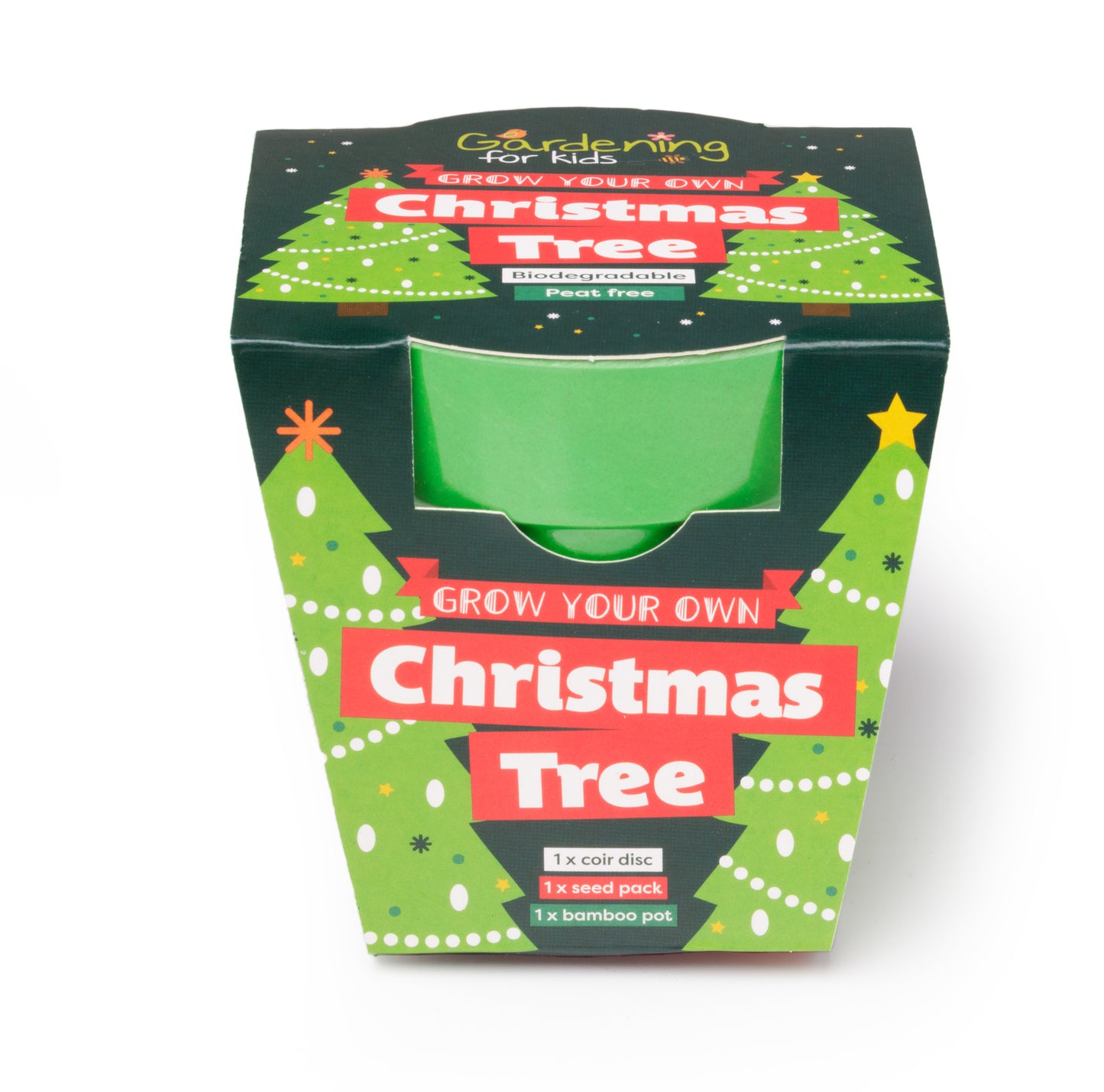 Children's Grow Your Own Christmas Tree Growing Kit