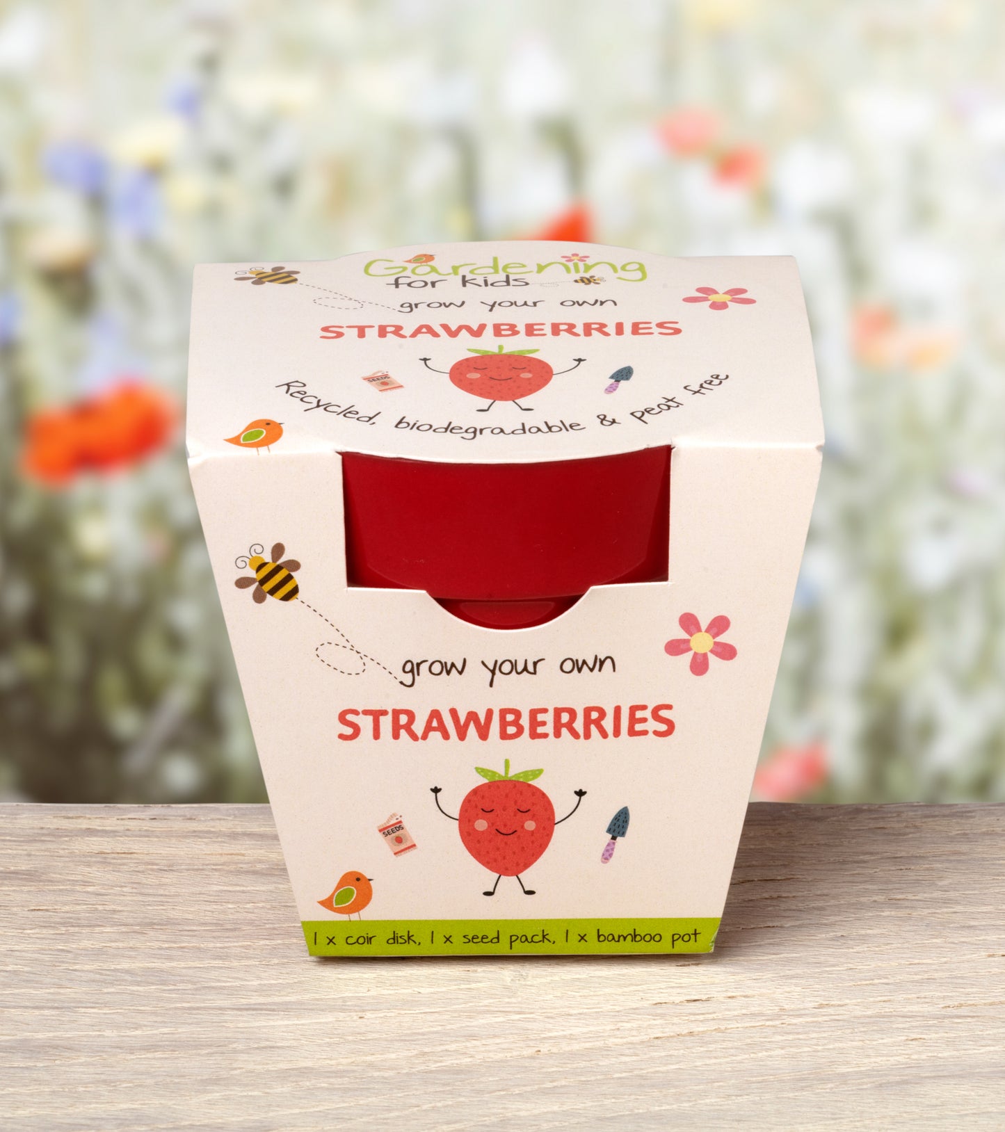 Children's Grow Your Own Strawberries Growing Kit