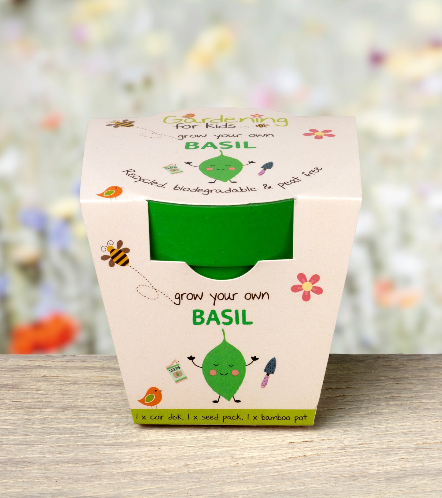 Children's Grow Your Own Basil Kit