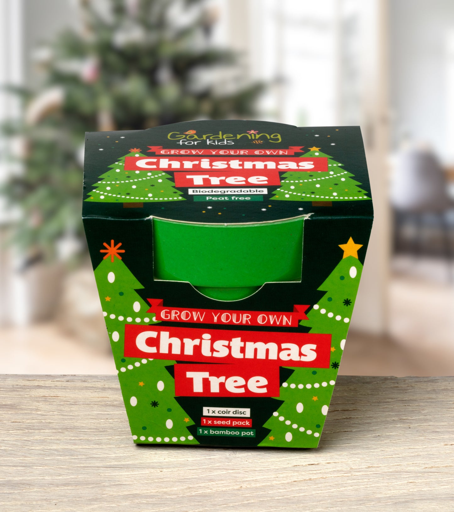 Children's Grow Your Own Christmas Tree Growing Kit