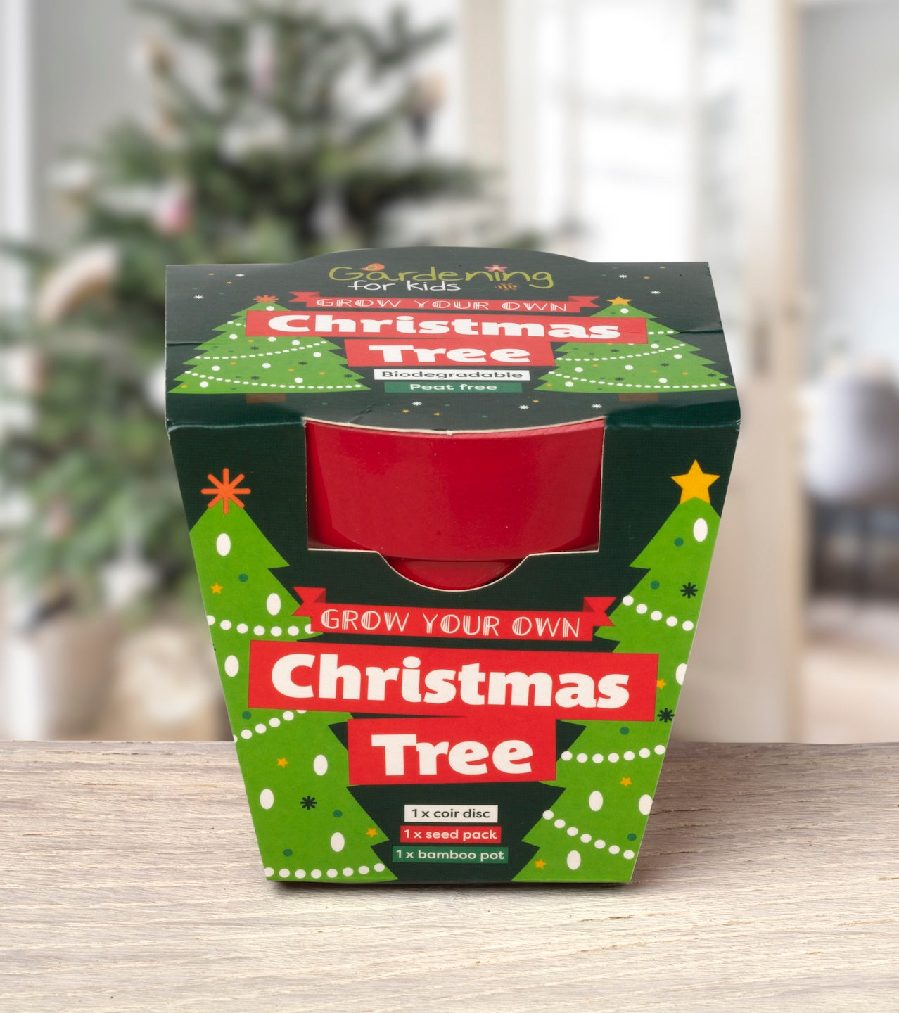 Children's Grow Your Own Christmas Tree Growing Kit