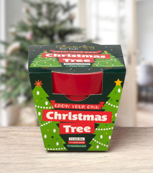 Children's Grow Your Own Christmas Tree Growing Kit