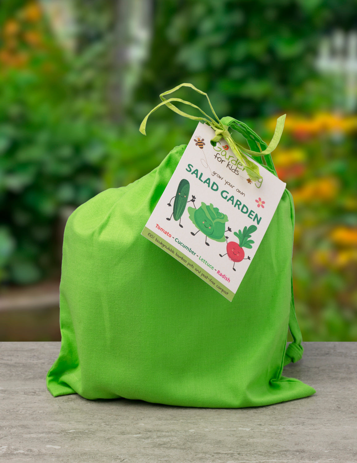 Grow Your Own Salad Garden Gift Bag