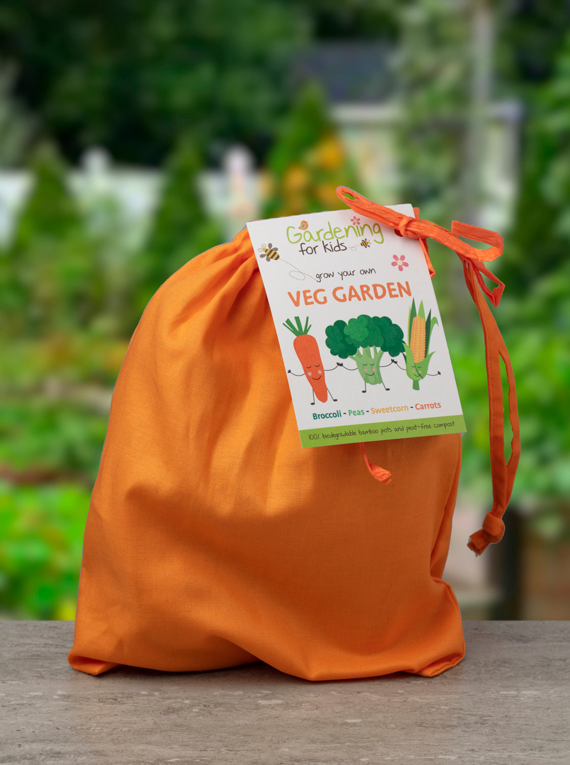 Grow Your Own Vegetable Garden Gift Bag