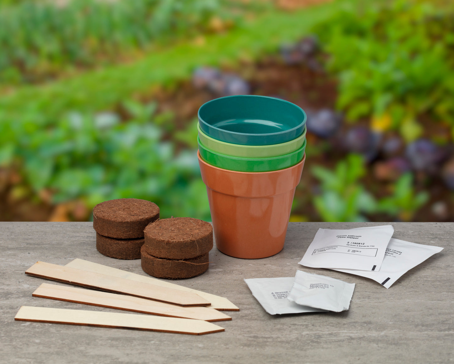 Grow Your Own Vegetable Garden Gift Bag