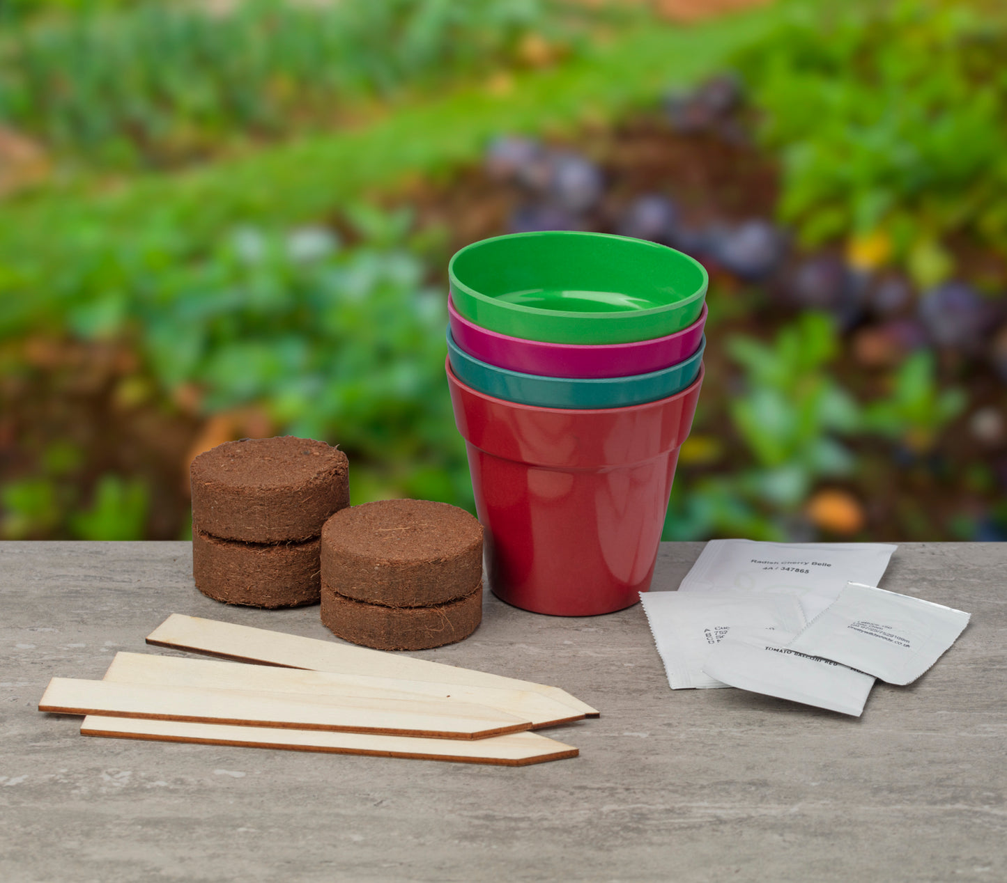 Grow Your Own Salad Garden Gift Bag
